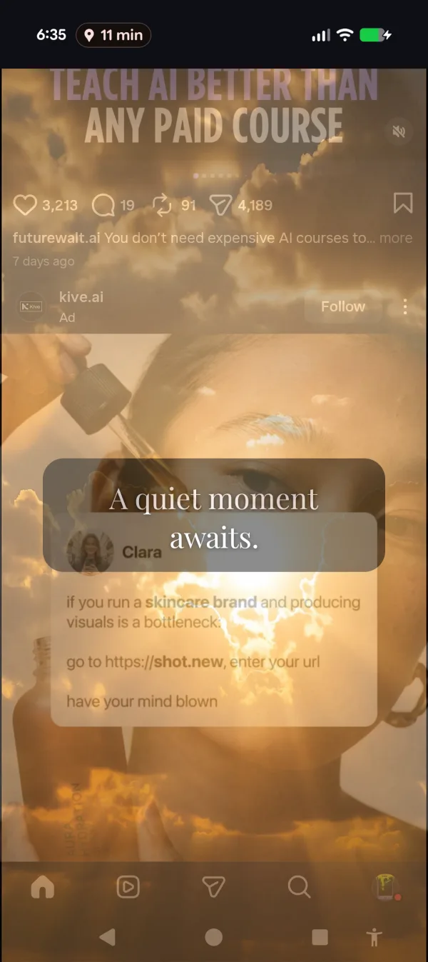 Warm golden sunlight over a social media feed